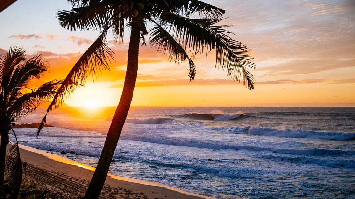 History of surfing: Polynesian origins and global growth