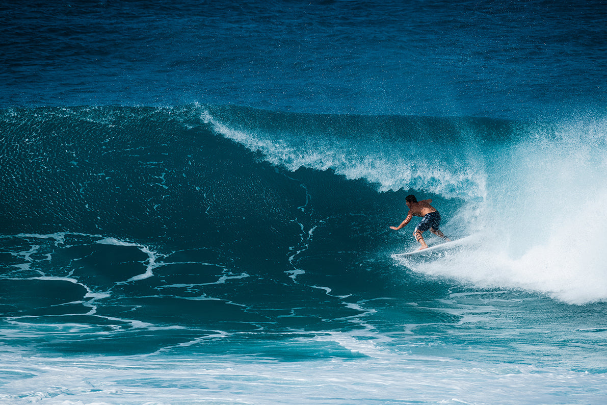 The surfer Morgan Cibilic