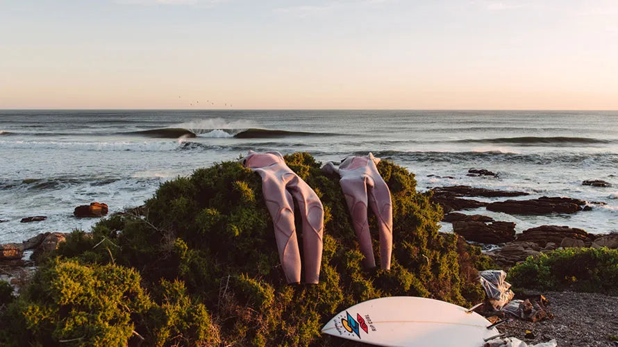 Surfboards leaning against a bush with ocean waves in the background