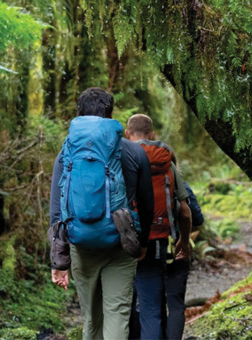 Two hikers walking through a forest with backpacks.