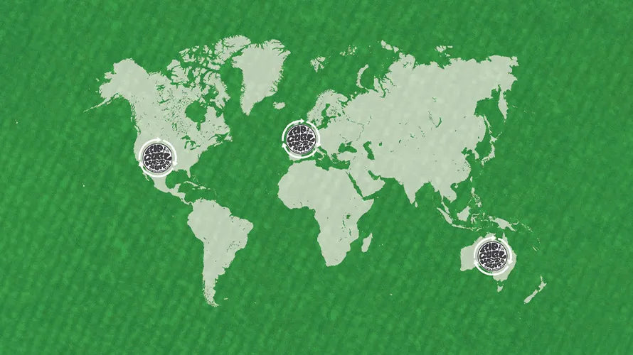 World map with three circular logos on a green textured background
