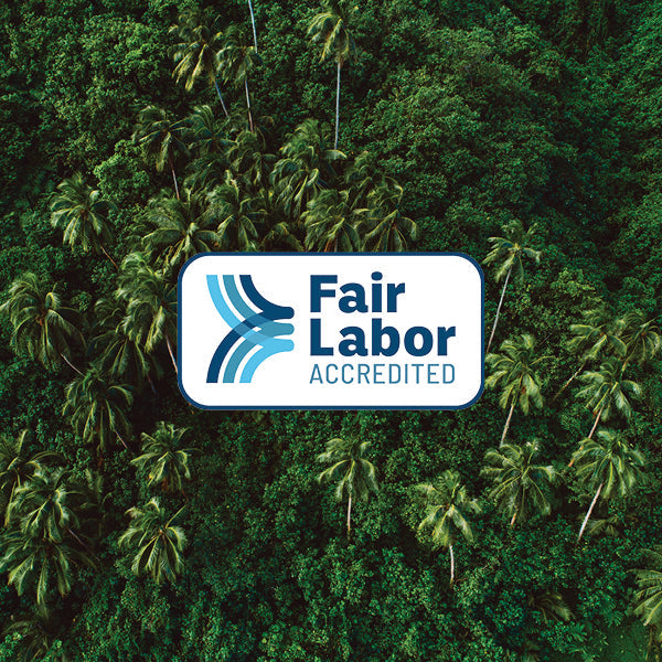 Fair Labor Accredited logo over an aerial view of a forest