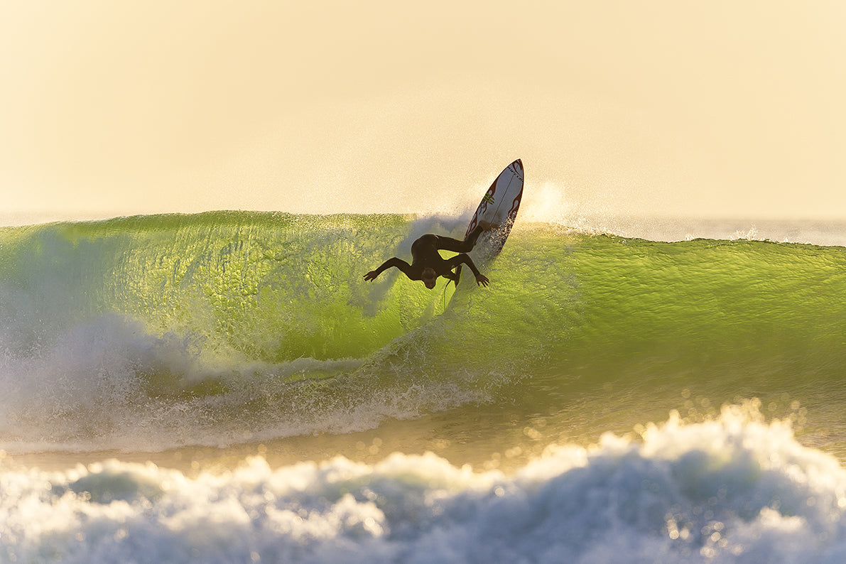 The pro surfer Crosby Colapinto