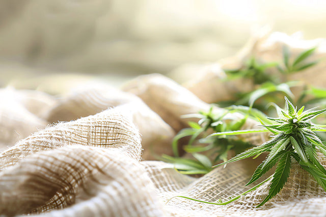 Linen and Hemp